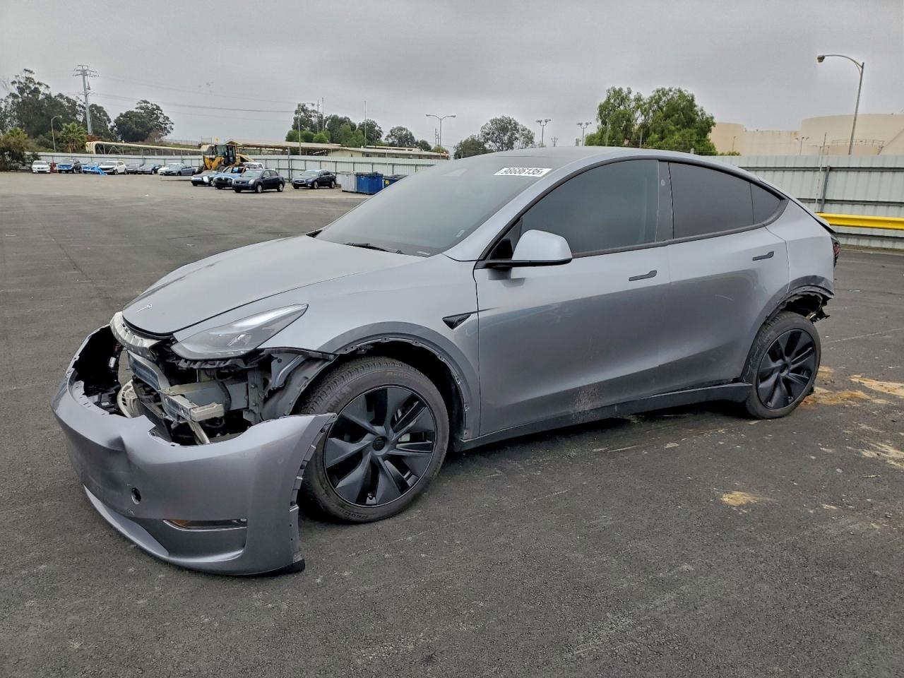 2025 TESLA MODEL Y