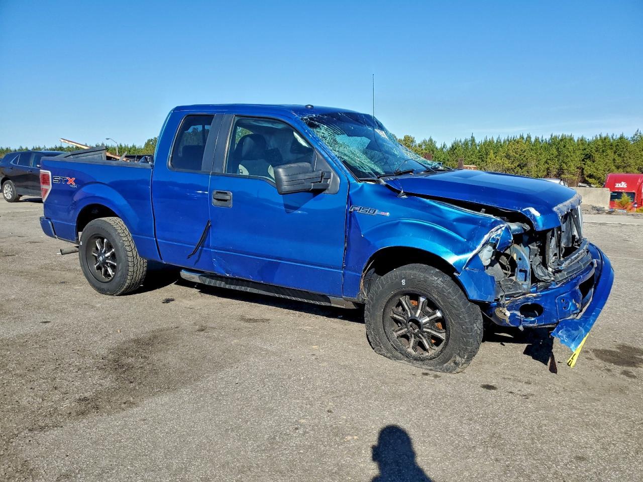 2009 FORD F-150