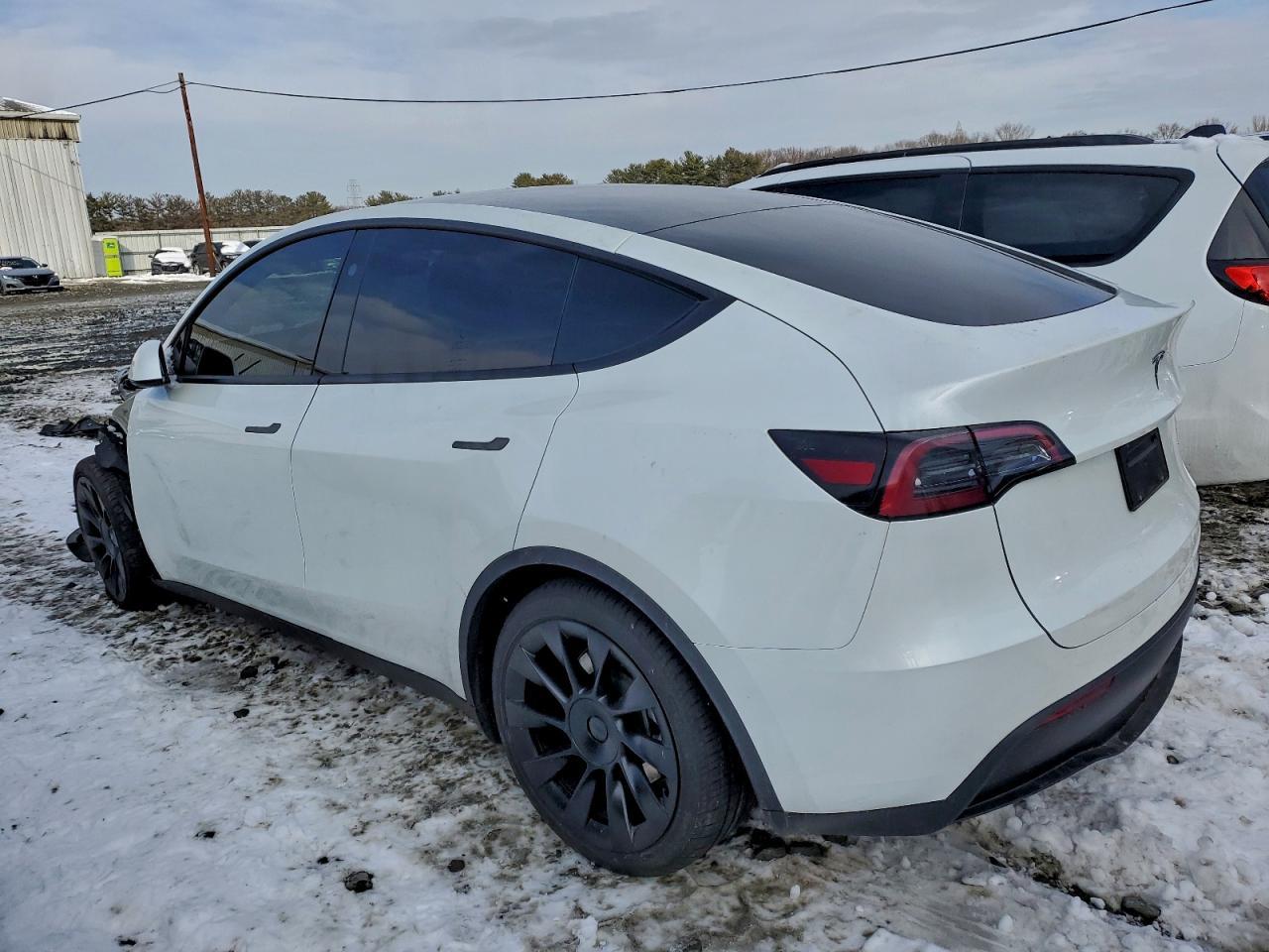 2024 TESLA MODEL Y