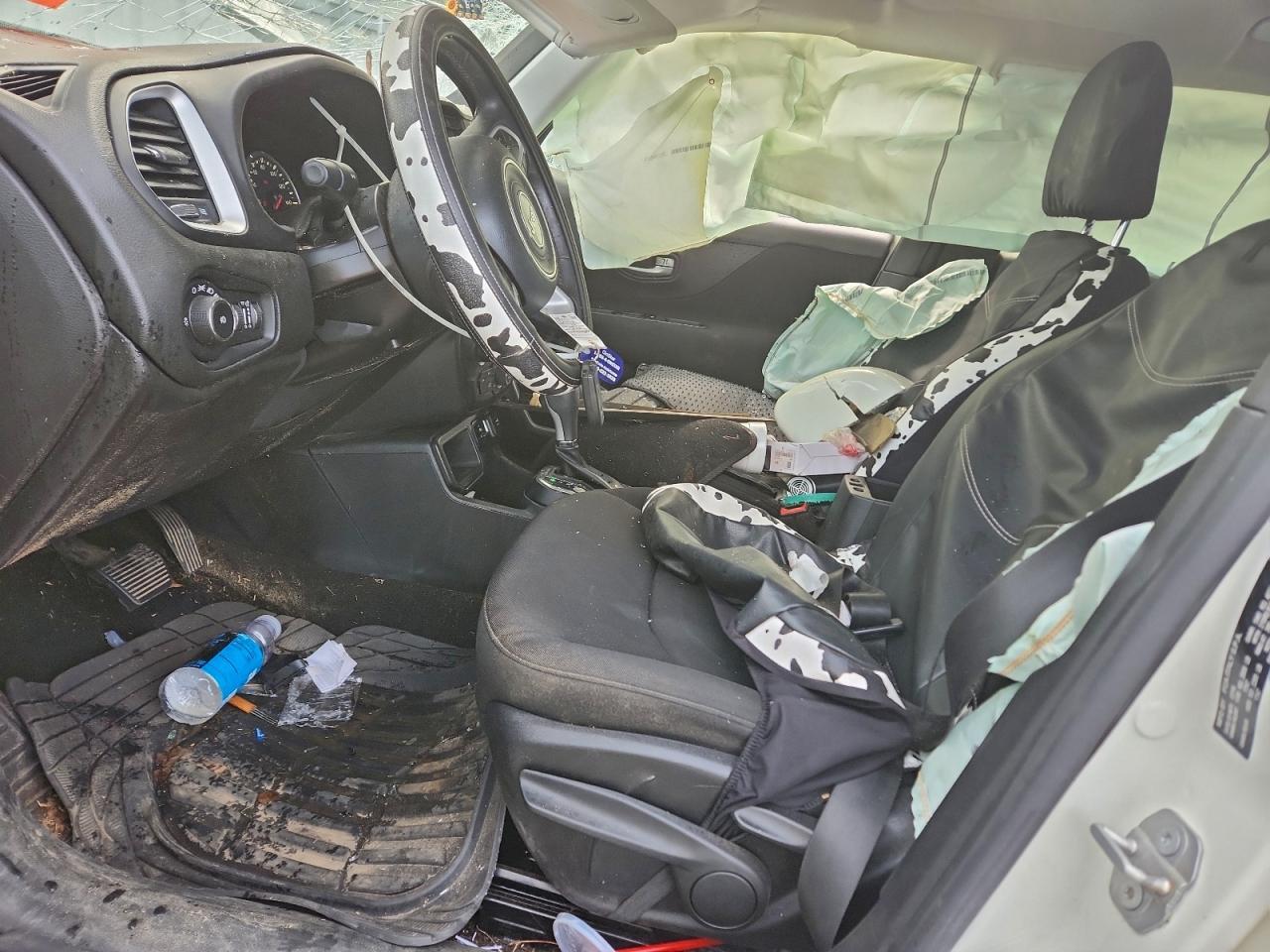 2019 JEEP Renegade