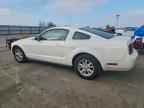 2005 FORD MUSTANG