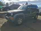 2004 JEEP Liberty