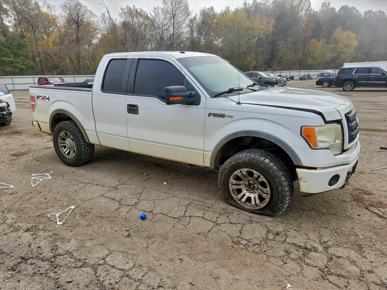 2009 FORD F-150