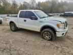 2009 FORD F-150