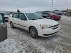 2005 CHEVROLET MALIBU