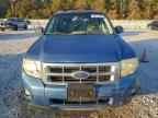 2009 FORD ESCAPE