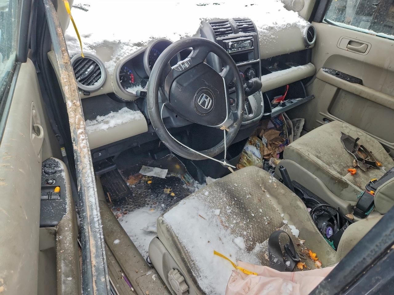 2010 HONDA Element
