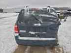 2010 FORD ESCAPE