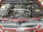 2009 CHEVROLET Trailblazer