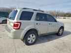 2008 FORD ESCAPE