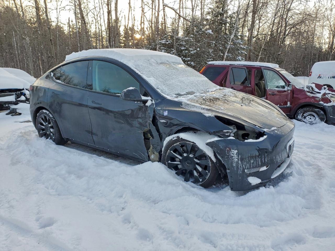 2025 TESLA MODEL Y