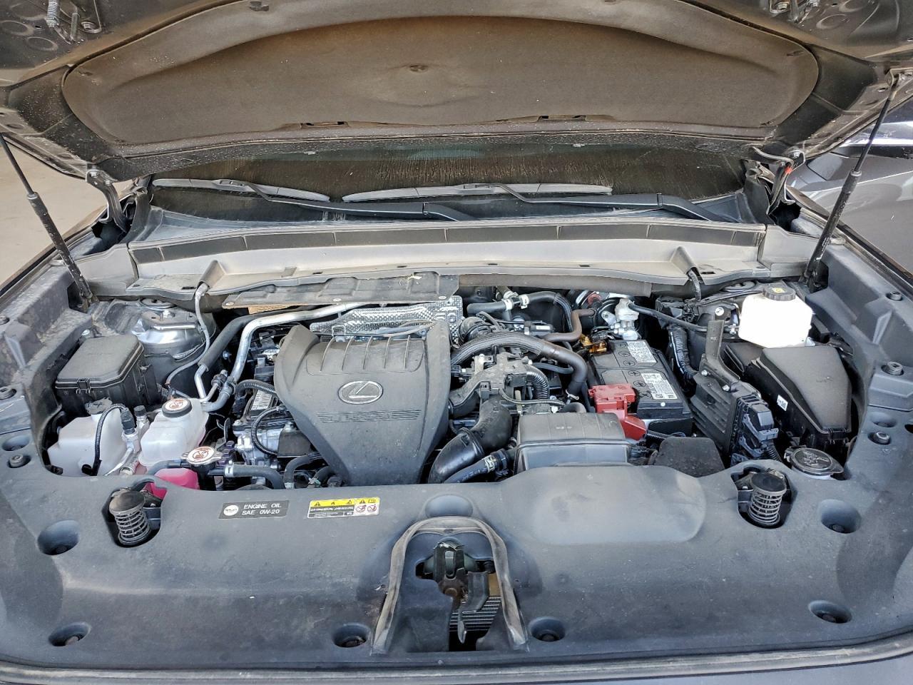 2024 LEXUS TX 350