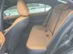 2025 LEXUS IS 350