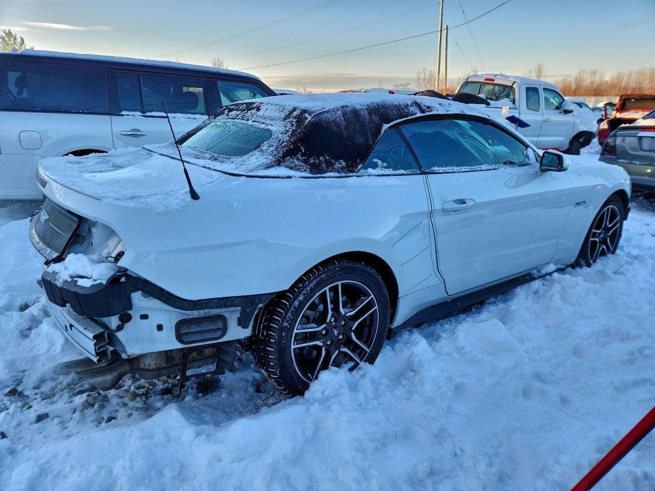 2020 FORD MUSTANG