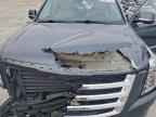 2019 CADILLAC ESCALADE