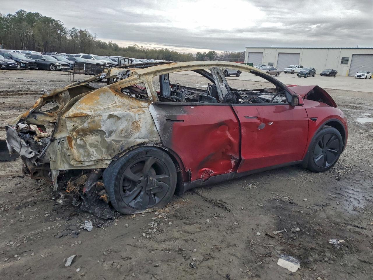 2026 TESLA MODEL Y
