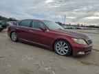 2007 LEXUS LS 460