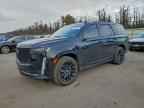 2024 CADILLAC ESCALADE