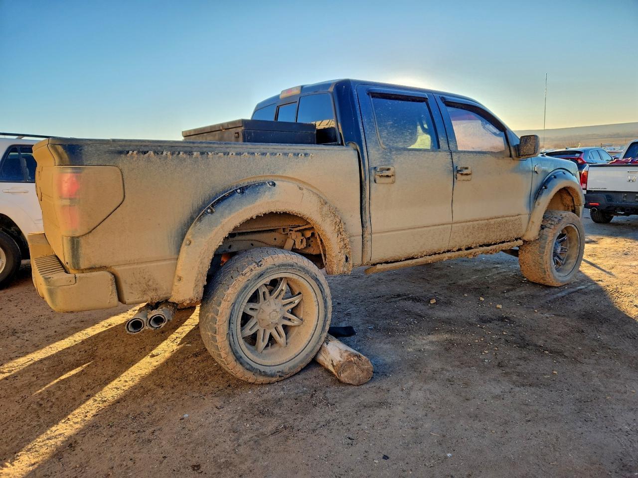 2010 FORD F-150