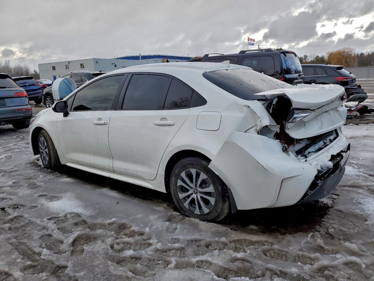 2023 TOYOTA COROLLA
