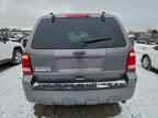 2010 FORD ESCAPE