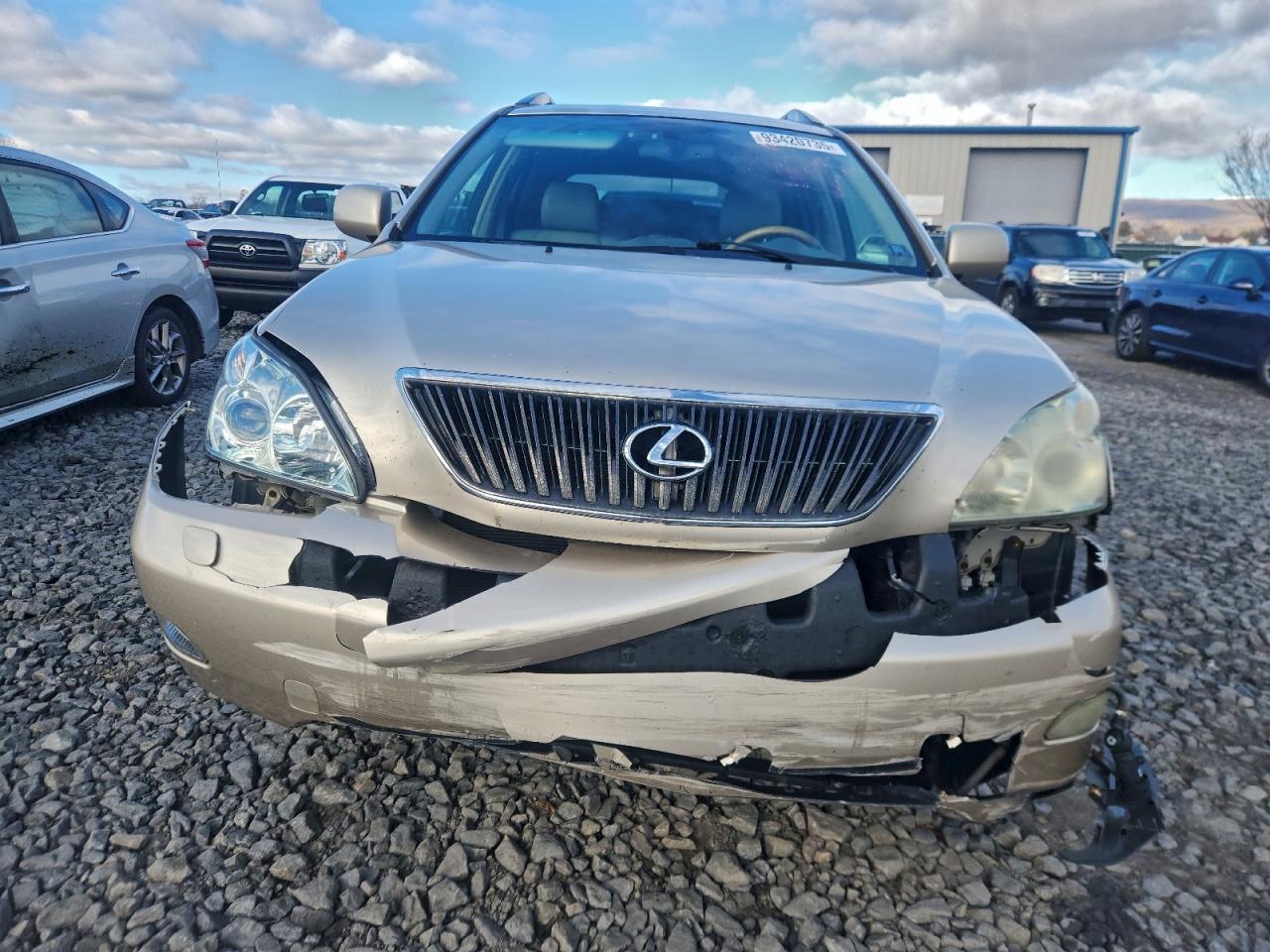 2004 LEXUS Rx 330