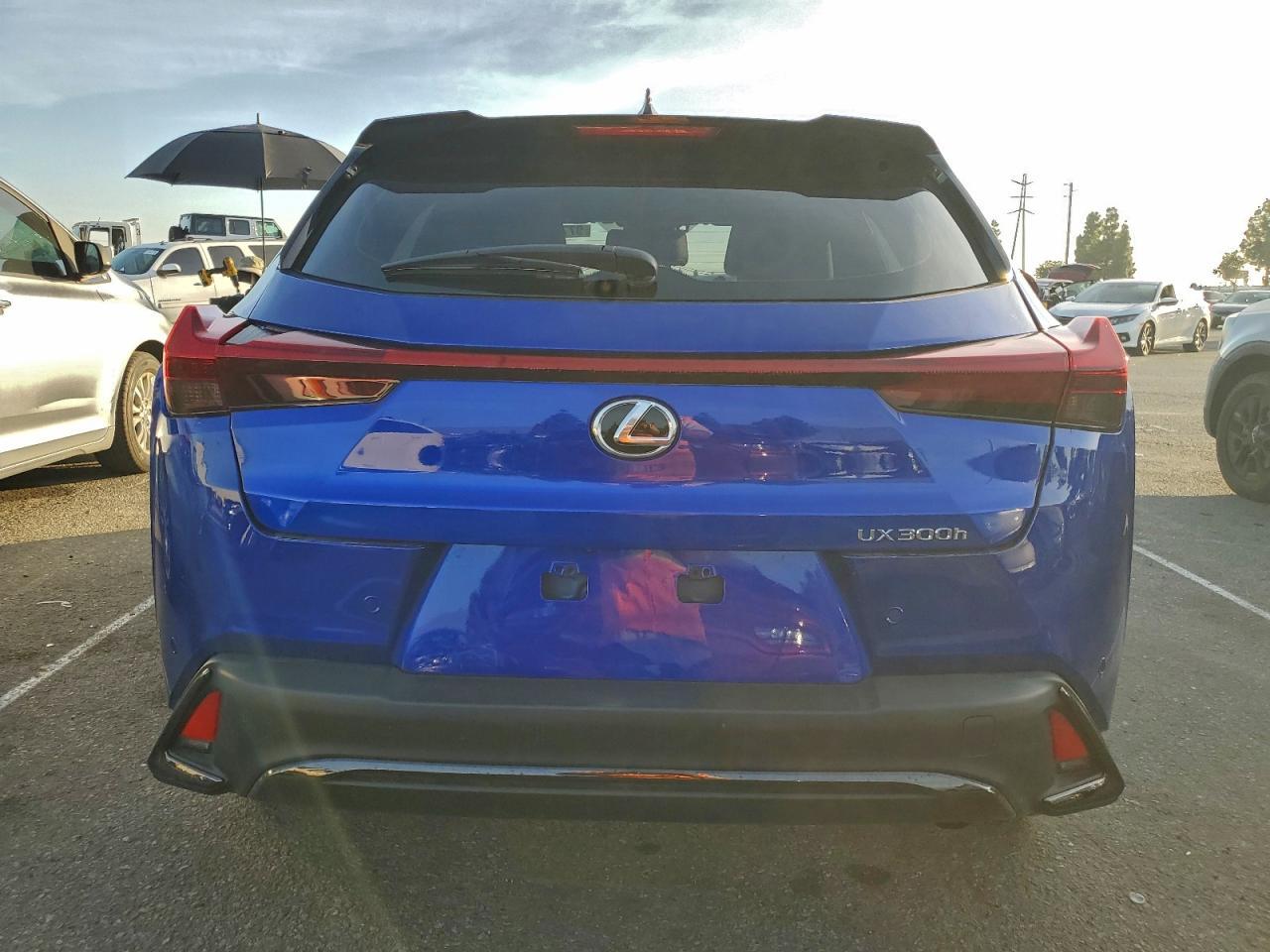 2025 LEXUS UX 300H