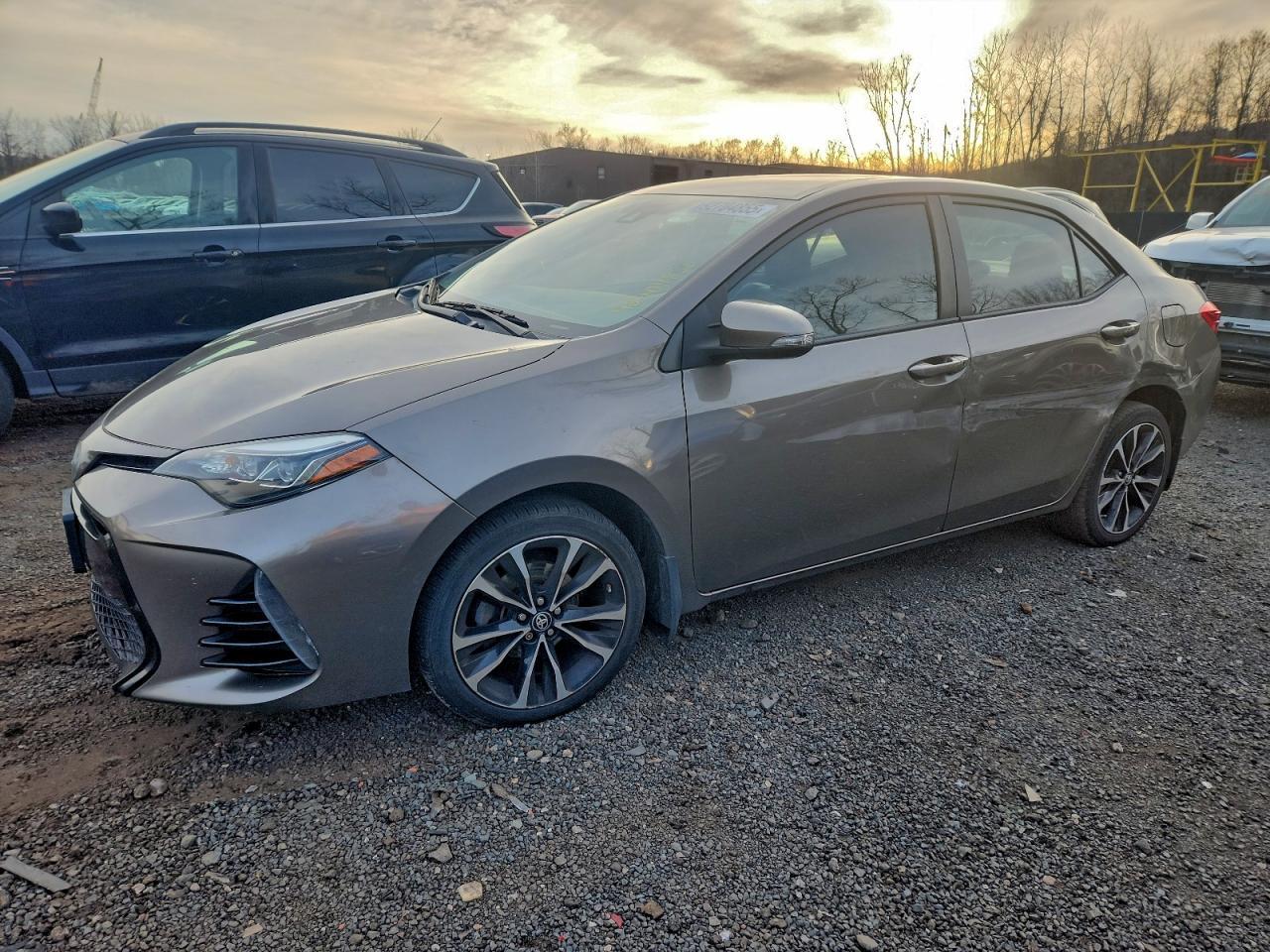 2019 TOYOTA COROLLA