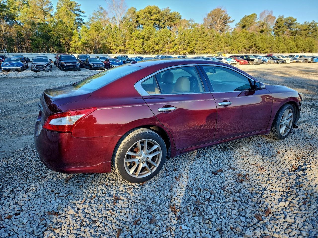 2010 NISSAN Maxima