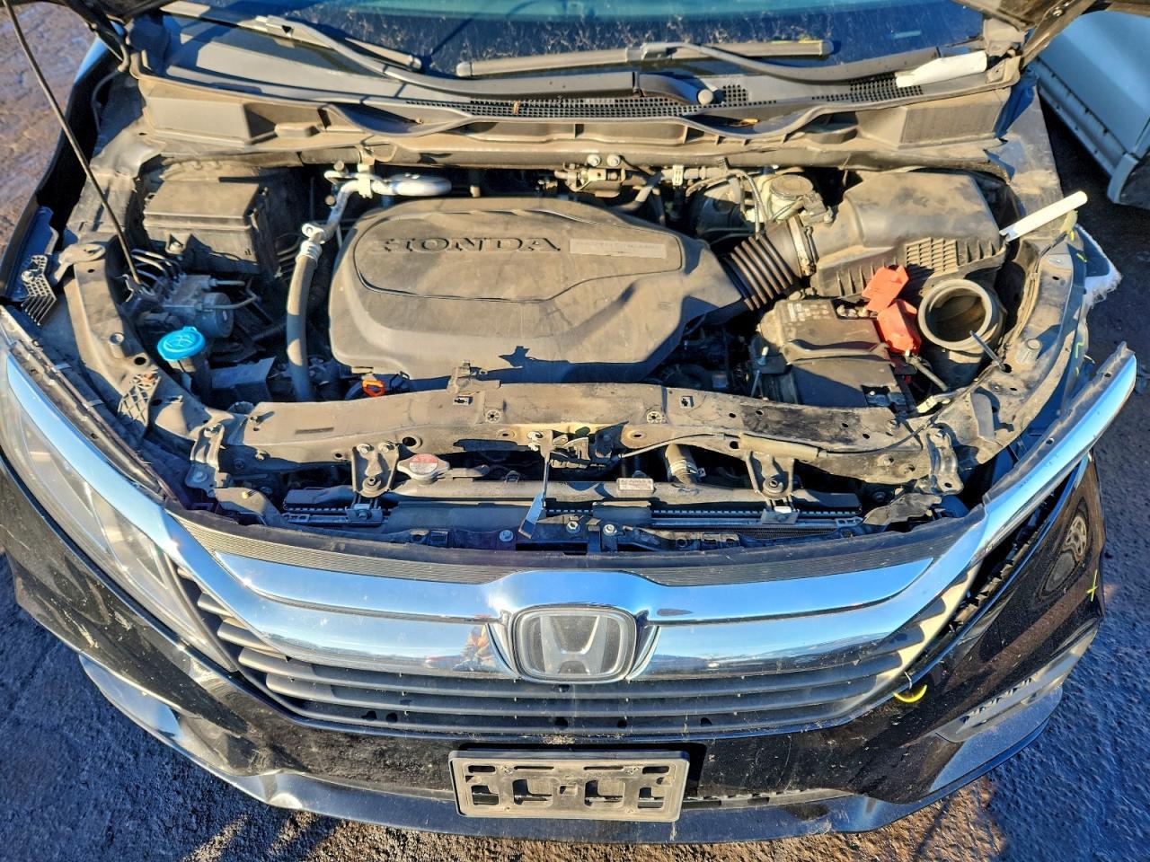 2019 HONDA ODYSSEY
