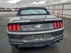 2023 FORD MUSTANG