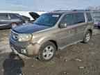 2010 HONDA PILOT