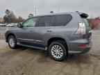 2019 LEXUS GX 460
