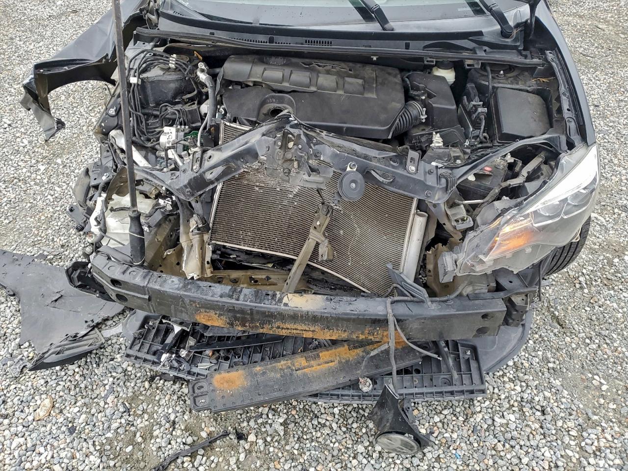 2019 TOYOTA COROLLA