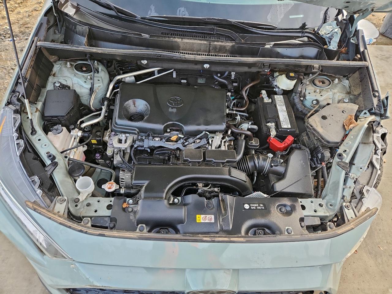 2019 TOYOTA RAV4