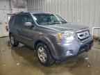 2011 HONDA PILOT