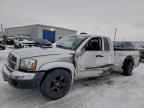 2005 DODGE Dakota