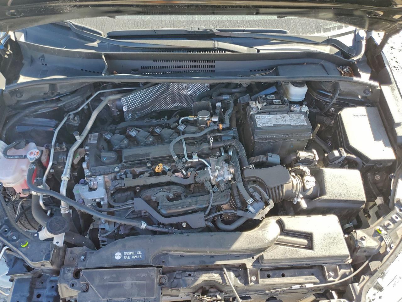 2023 TOYOTA COROLLA