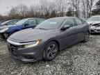 2019 HONDA Insight