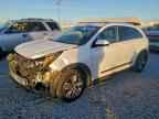 2022 KIA Niro