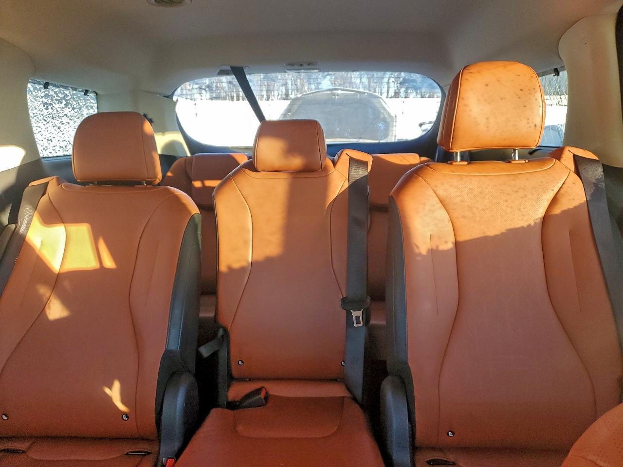 2024 KIA Carnival