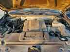 2013 LINCOLN Navigator