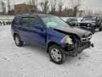 2004 HONDA CR-V