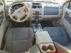 2009 FORD ESCAPE
