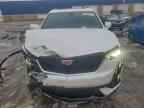 2024 CADILLAC XT6