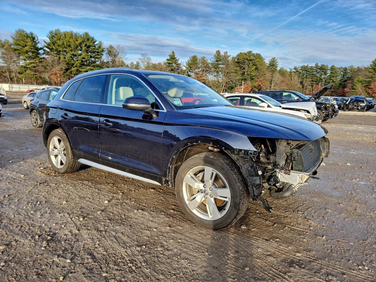 2019 AUDI Q5