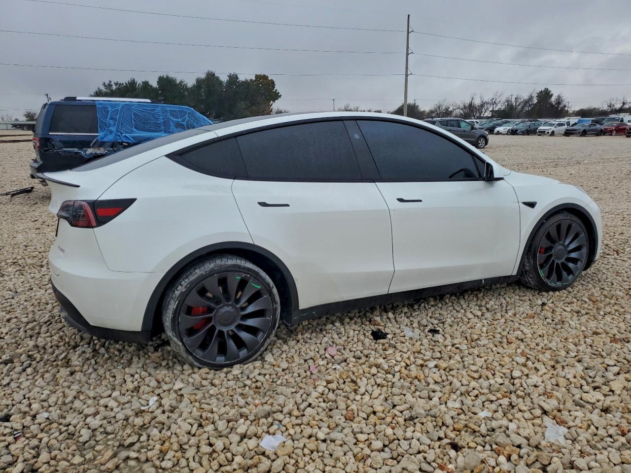2024 TESLA MODEL Y