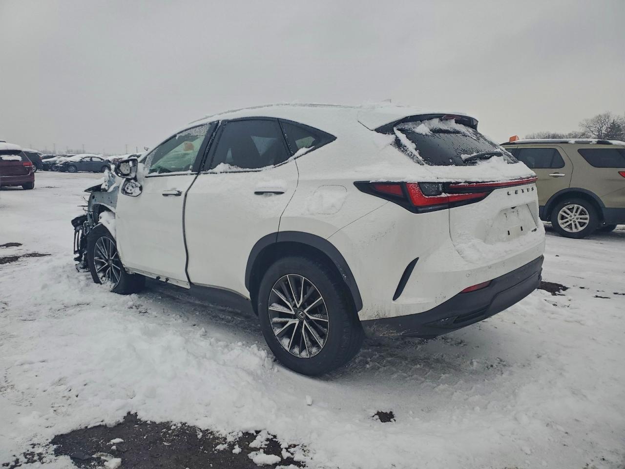 2024 LEXUS NX 250