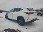 2024 LEXUS NX 250