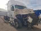2022 FREIGHTLINER CASCADIA 126